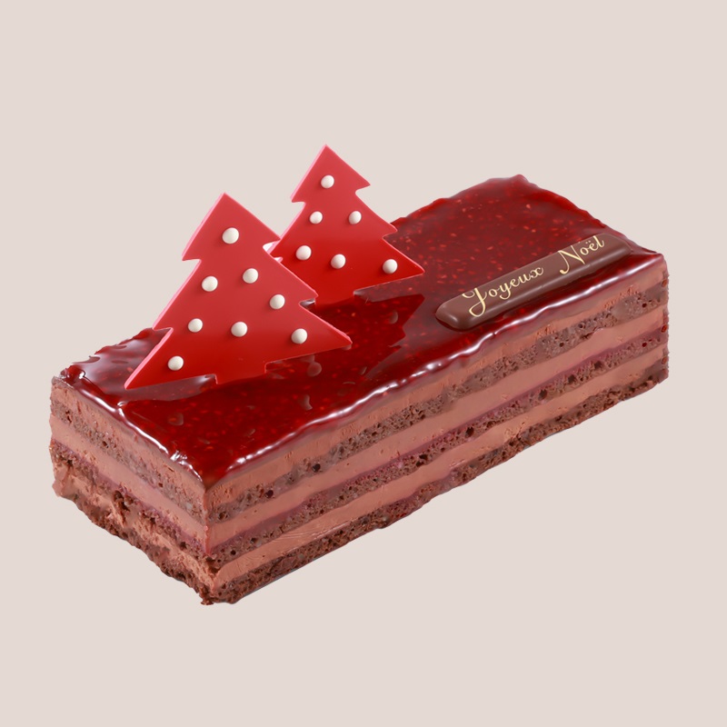 【ご予約・ブティック限定】ショコラ フランボワーズ ノエル